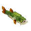 Pike