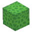 Green Coral Block