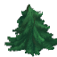 Fir Leaves - Tip