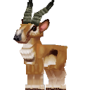 Antelope