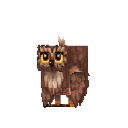 Owl Brown