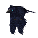 Raven