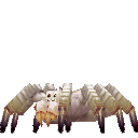 Spider Cave