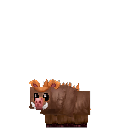 Warthog Piglet